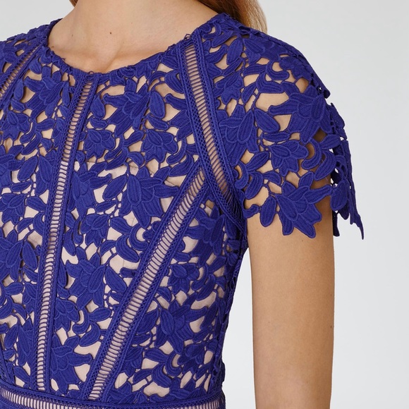 Reiss Orchid Lace Cocktail Dress in Sapphire - Picture 4 of 7
